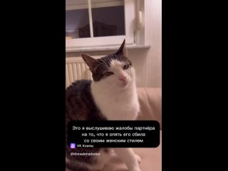 Video by Артем и Елена | Bachata | Екатеринбург