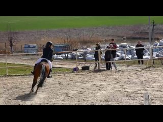 Video by Продажа  спортивных  лошадей, пони класс, пони