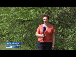 В Саратовской области введен противопожарный режим