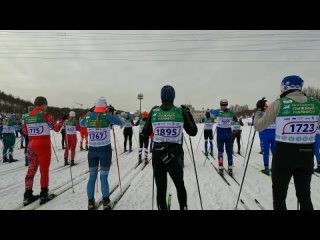 Поездка в Мурманск на лыжный марафон 2024. часть 2