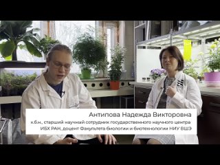 Video by Академия Физической Культуры (АФК)