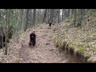 Помет Ф - прогулка вокруг форта Красная Горка