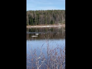 Видео от Охота и Рыбалка Республика Коми