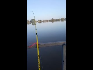 Видео от Рыболовная база Эльдорадо FISH Астрахань