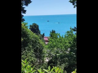 В Сочи к лету открываются 8 новых отелей  Часть из них - с собственной территорией и подогреваемыми бассейнами.  Летом... (видео)