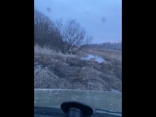 Видео от СУЗУКИ ЭСКУДО Новосибирск