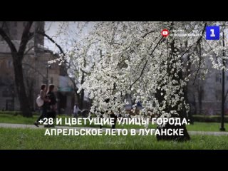 Апрельское лето в Луганске: +28 ℃ и цветущие улицы города