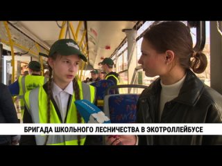 Бригада школьного лесничества в экотроллейбусе. Телеканал «Хабаровск»