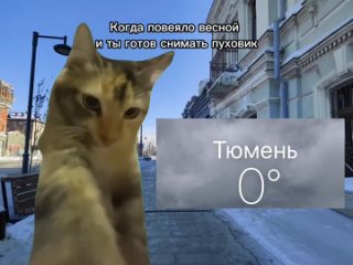 В Тюмени сегодня резко потеплеет до +5 градусов