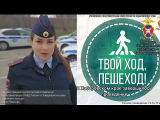 👮‍♀️В Хабаровском крае завершилось оперативно-профилактическое мероприятие #Твой_ход_пешеход 

Всего с 9 по 17 апреля сотрудника