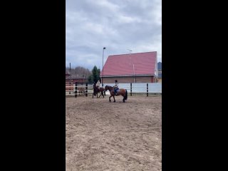 Видео от Конный двор Патрушева | Прогулки на лошадях