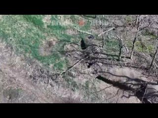 New Footage of the Destruction of the enemy by FPV drones VT-40
