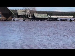 Вчера в селе Орто-Нахара Ленского района Якутии началась эвакуация населения из подтопленной зоны. А на видео сегодняшнее утро.