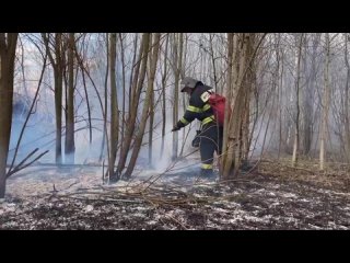 Видео от Новости ТВР24 | Сергиев Посад и Радонежье