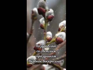 Video by МОАУ СОШ № 34 -  1 “Г“ класс