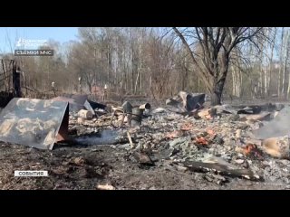 ▶️ В Брянской области с 1апреля установлен пожароопасный период. В этом году произошло уже 180 природных пожаров, связанных с го