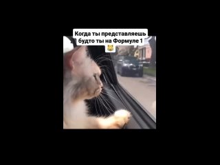Video by ШинТорг-Кострома Автосервис | Шины | Диски | АКБ