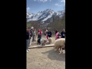 Видео от Вольный путешественник - официальная группа