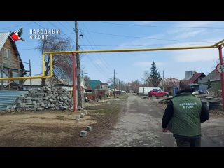 Видео от Молодёжка Народного Фронта - Новосибирск