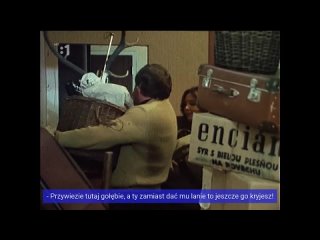 Szerszenie w ulu (1985) - odc. 1 - Przybysze _ HD _ NAPISY PL