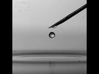 Watch the bouncing droplet