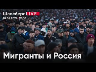 Мигранты и Россия. Возможен ли межнациональный мир после террористических актов / Шлосберг live