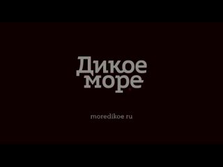 Пост-знакомство, Дикое море