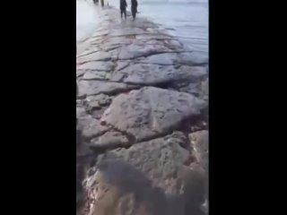 Durante una forte bassa marea, sulla riva di Sakhalin è apparso uno strano sputo di pietra: una strada che va nel mare 🧐