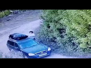 Сегодня появилось видео с камеры видеофиксации на одной из дач в Самарской области, где неизвестная выбрасывает мусор в кусты

«