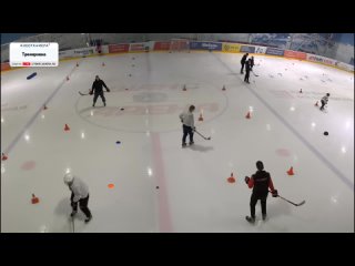 [ШАНС Арена]  11:00 Группа хоккея. Поиграть в хоккей или устроить тренировку СПб