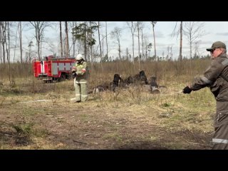 Видео от ФГБУ Национальный парк “Лосиный остров“