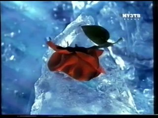 ВИА Гра - Обмани, но останься (Муз-ТВ 2006) (360p).mp4