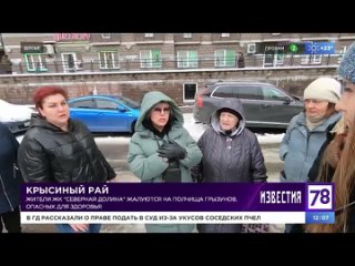 Крысиный рай Телеканал 78 Правовая помощь ЖКХ Александр Леонидович Сметанин