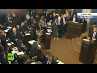 Le Parlement géorgien interrompt la diffusion des débats en raison d’une rixe dans la salle