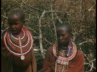 Эротика в джунглях / Это случилось в Африке / Эротические джунгли / Jungle Erotic / A Happening in Africa (1970) DVDRip | A