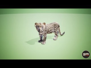 Young Leopard animation preview