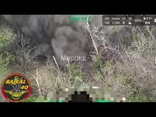 Морпехи 40 бригады уничтожают украинскую технику и позиции на Угледарском направлении