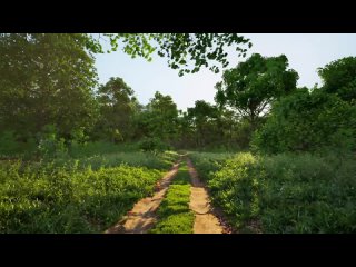 Trees Vol. 5 _ Maple Trees _ Unreal Engine 5.3 _ Ultra Realistic Wind _ BFP 2.6