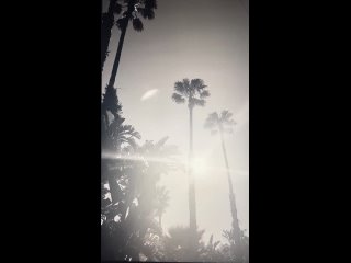 Видео от CIGARETTES AFTER SEX