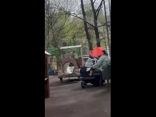 Мать избивает ребенка в коляске в Москве