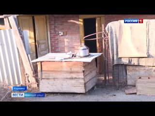 Десятки истощенных и мертвых собак нашли в гараже заводчицы из Челябинской области