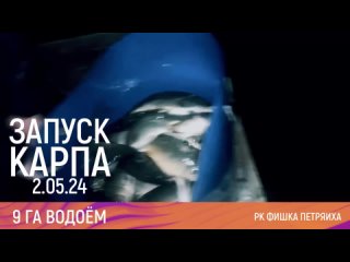 РК ФИШКА ПЕТРЯИХА!  Сегодня ночью мы пополнили запасы карпа на 9-м водоёме, в количестве 550 кг.