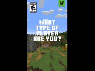 Minecraft WHAT TYPE OF MINECRAFT PLAYER ARE YOU