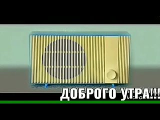 Встречаем новый день с оптимизмом!