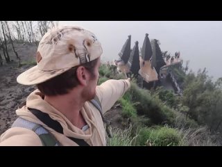 [Max & Kim] MOUNT BROMO JAVA | WHALE SHARKS IN PROBOLINGGO