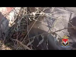 Video by Министерство внутренних дел по Удмуртии.mp4