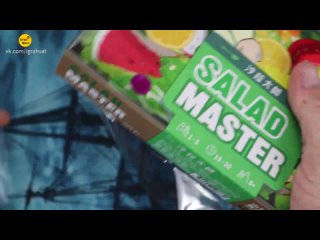 Salad Master [2022] | Curious + Chill Unboxing [Перевод]