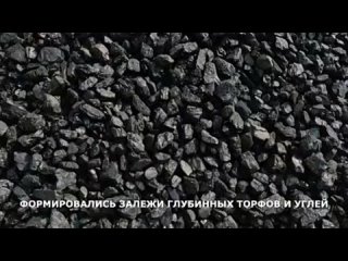 Видео от Ольги Сафроновой