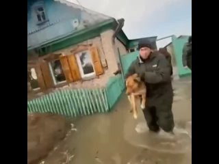 ❤️Спасатели выносят животных из затопленных домов в Петропавловске

Кадрами поделились спасатели совместно с сотрудниками УЧС Пе