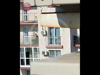 Маленькая девочка едва не упала с балкона в Сочи    Сегодня днем, в одном из жилых домов в микрорайоне Мамайка,... (видео)